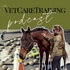 The VetCareTraining Podcast