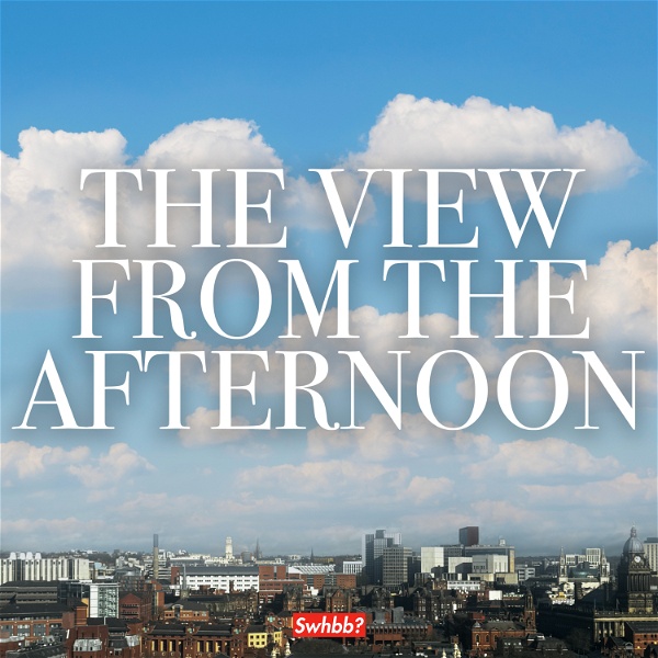 Artwork for THE VIEW FROM THE AFTERNOON