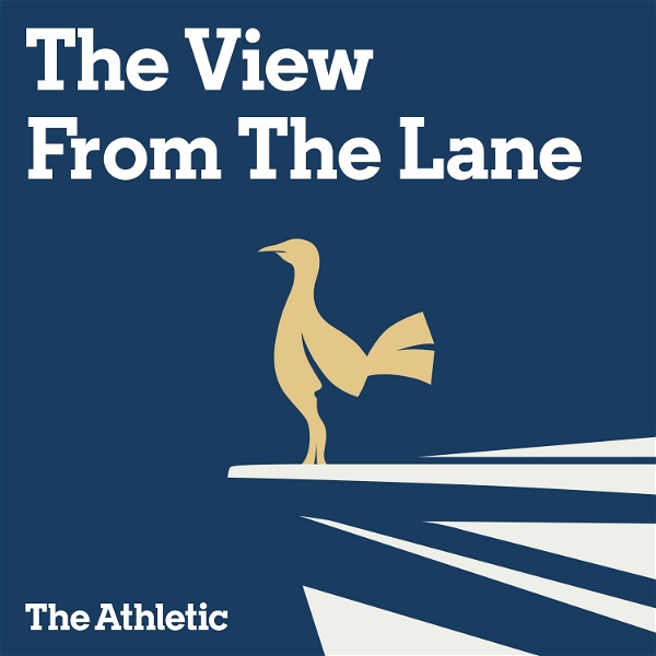 Artwork for The View From The Lane