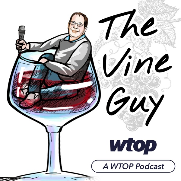 Artwork for The Vine Guy