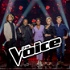 The Voice Mentorspesial