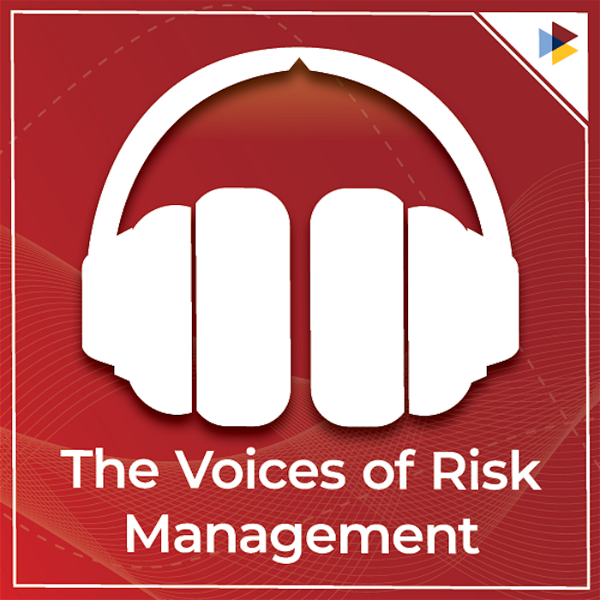 Artwork for The Voices of Risk Management