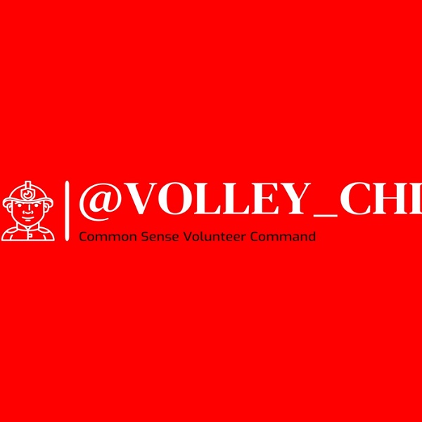 Artwork for The Volley Chief