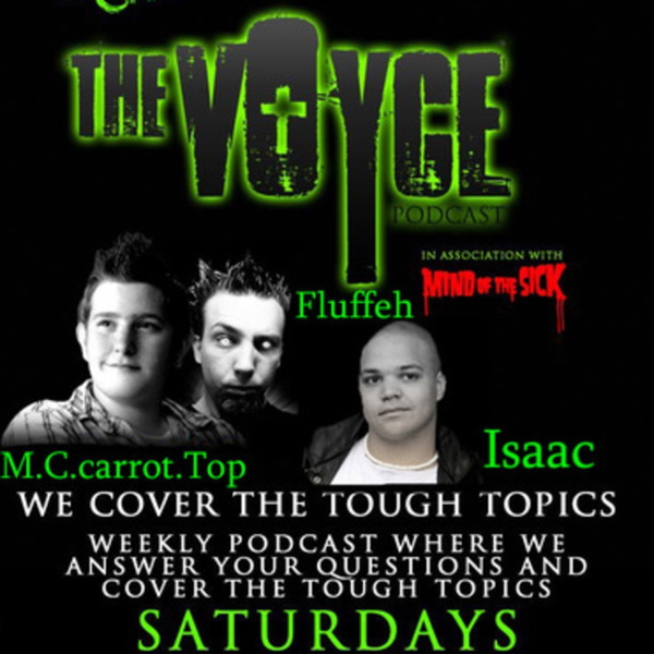 Artwork for The Voyce