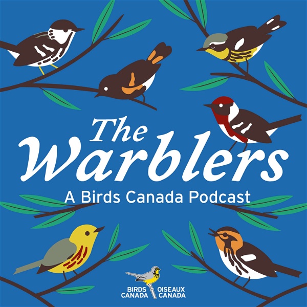 Artwork for The Warblers by Birds Canada