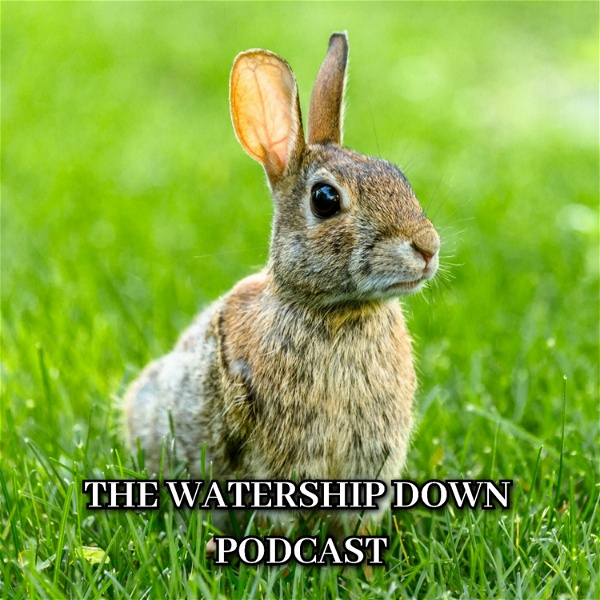 Artwork for The Watership Down Podcast