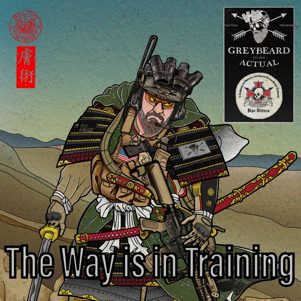 Artwork for The Way is in Training