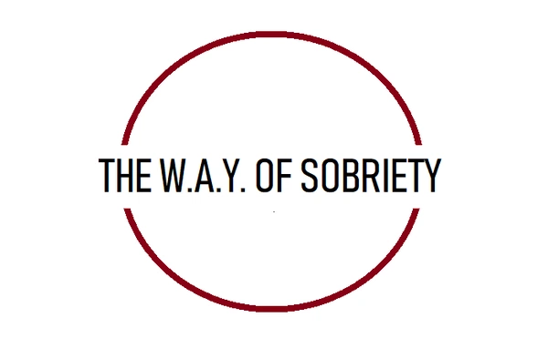 Artwork for The W.A.Y. of Sobriety