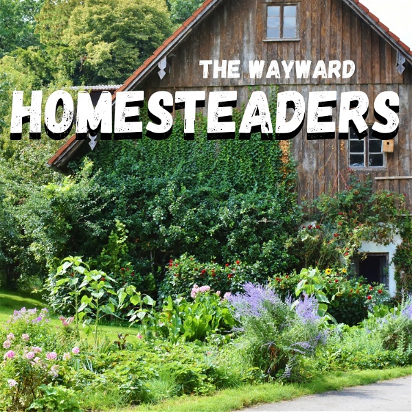 Artwork for The Wayward Homesteaders