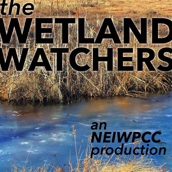 Artwork for The Wetland Watchers