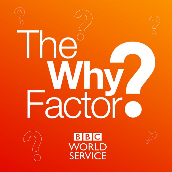 Artwork for The Why Factor
