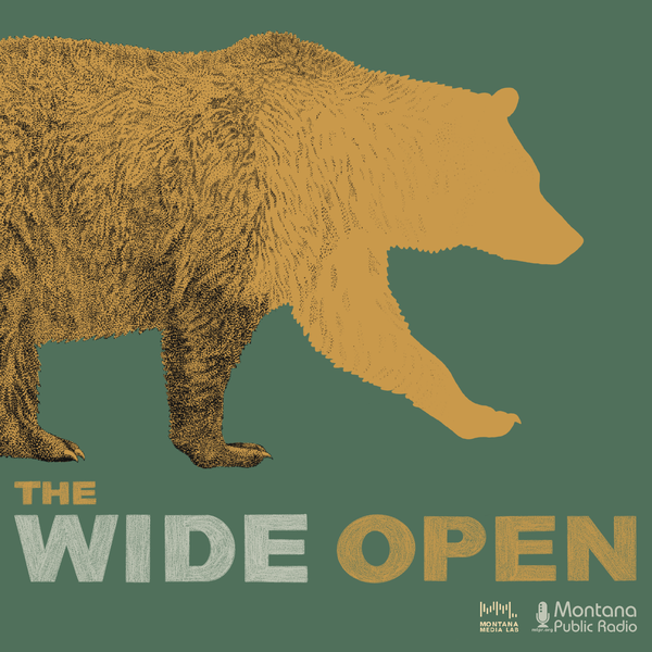 Artwork for The Wide Open
