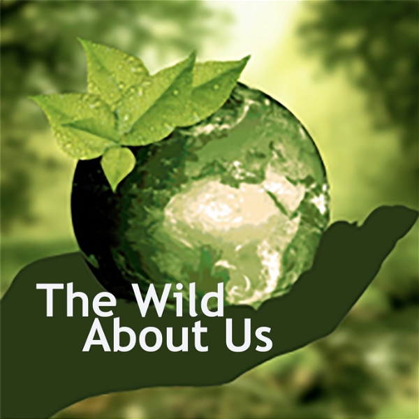 Artwork for The Wild About Us