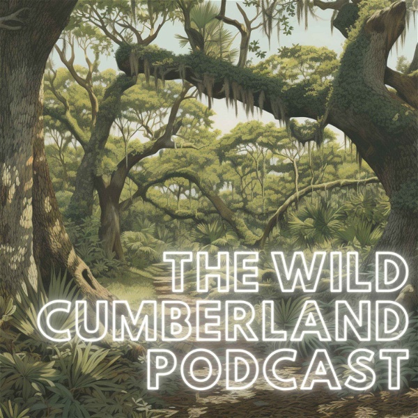 Artwork for The Wild Cumberland Podcast