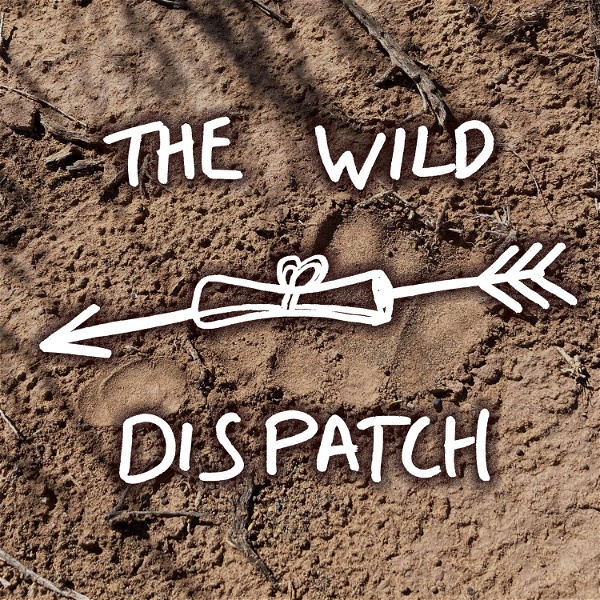 Artwork for The Wild Dispatch