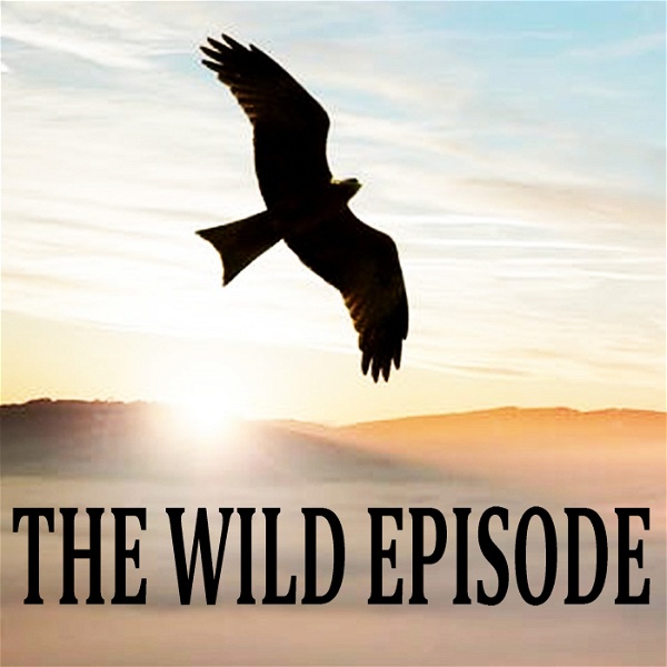 Artwork for The Wild Episode