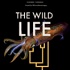 The Wild Life