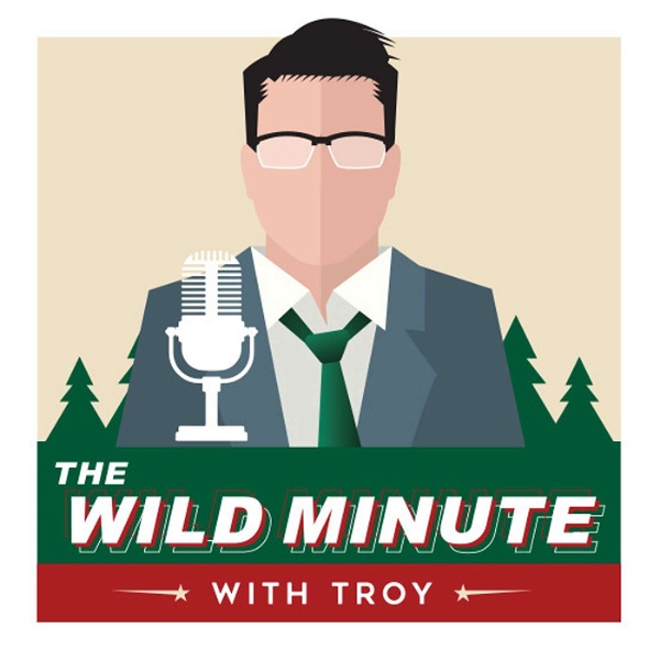 Artwork for The Wild Minute with Troy