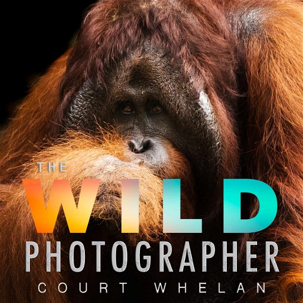 Artwork for The Wild Photographer
