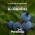 The Wild View on Blueberries