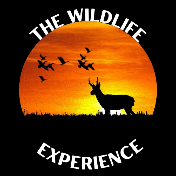 Artwork for The Wildlife Experience