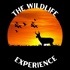 The Wildlife Experience