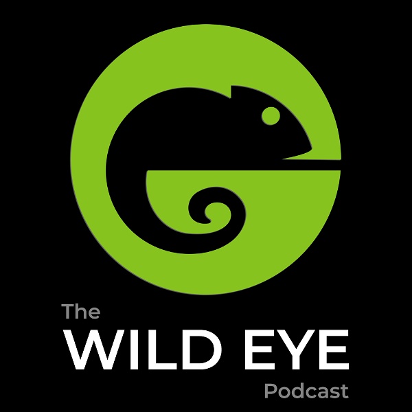 Artwork for The Wild Eye Podcast