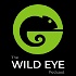 The Wild Eye Podcast
