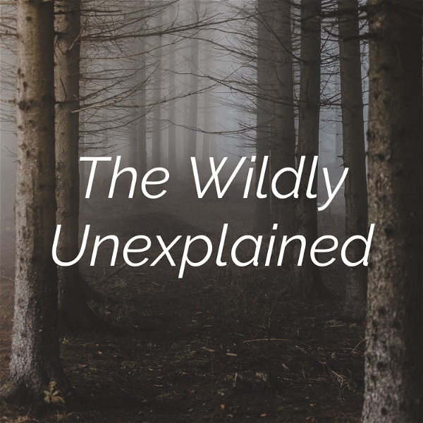 Artwork for The Wildly Unexplained