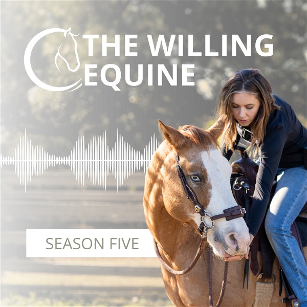 Artwork for The Willing Equine