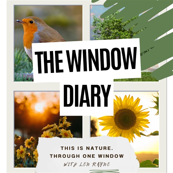 Artwork for The Window Diary