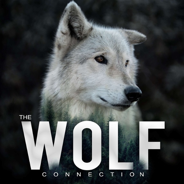 Artwork for The Wolf Connection