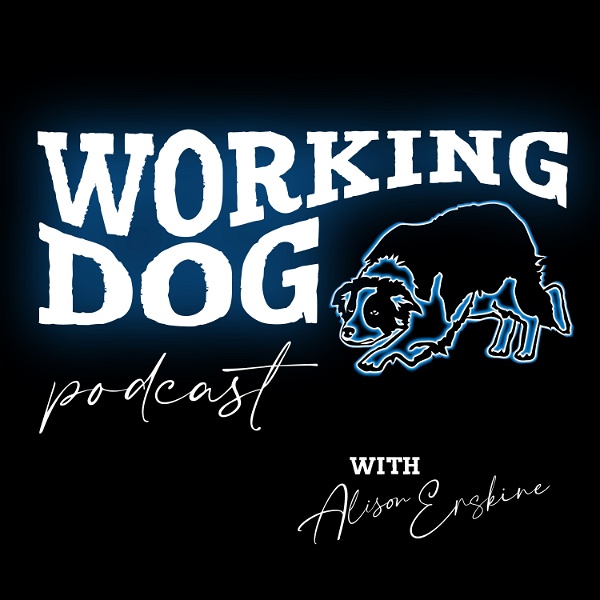 Artwork for The Working Dog Podcast