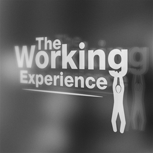Artwork for The Working Experience