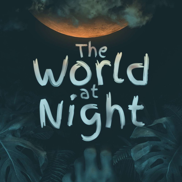 Artwork for The World At Night Podcast
