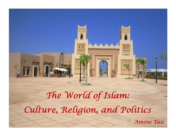 Artwork for The World of Islam: Culture, Religion, and Politics