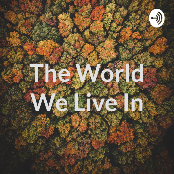 Artwork for The World We Live In