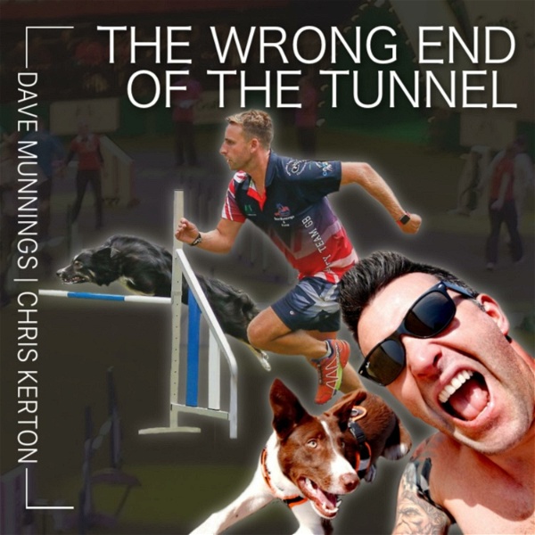 Artwork for The Wrong End of the Tunnel