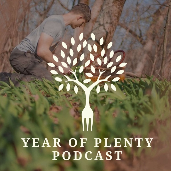 Artwork for Year of Plenty Podcast