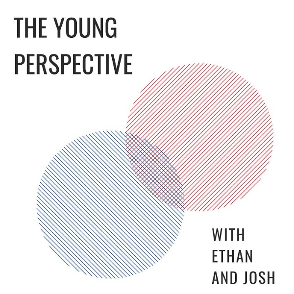Artwork for The Young Perspective
