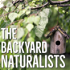 The Backyard Naturalists
