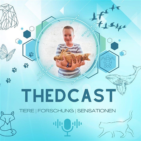 Artwork for THEDCAST