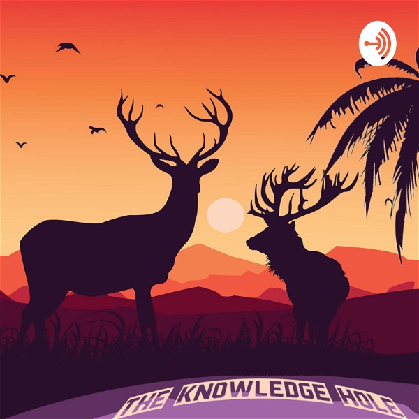 Artwork for TheKnowledgeHole