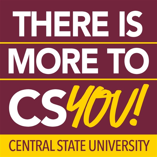 Artwork for There is More to CSYou