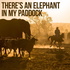 There's an Elephant in my Paddock!