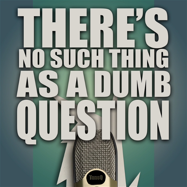 Artwork for There's No Such Thing As A Dumb Question