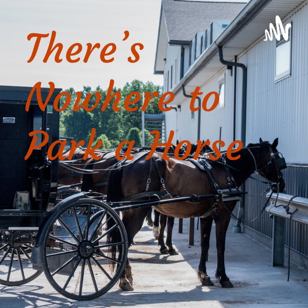 Artwork for There's Nowhere to Park a Horse