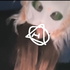 ✨🐈‍⬛Therian Podcast mit Caly🐈‍⬛✨