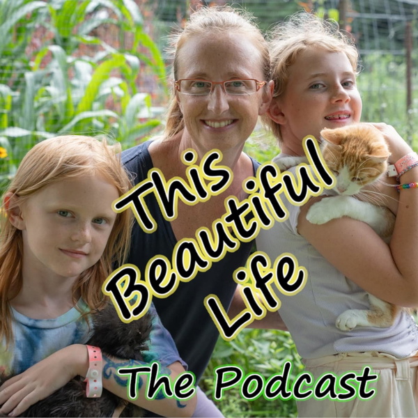 Artwork for This Beautiful Life