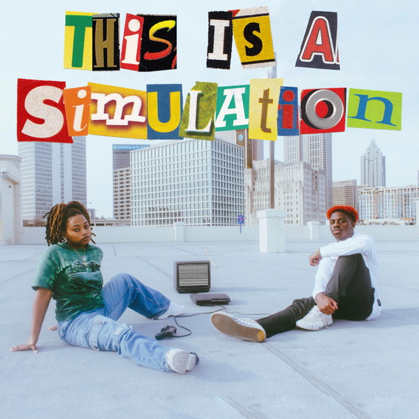 Artwork for This is a Simulation